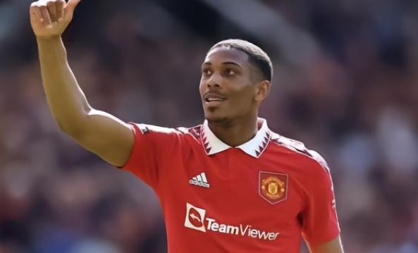 的双重稳固 的双重稳固